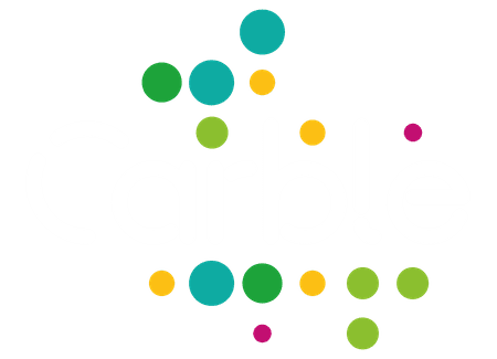 Logo image of Carble (Utrecht)